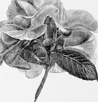An illustration from Dutch painters of the nineteenth century. With biographical notices (1898)