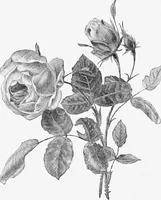 An illustration from Dutch painters of the nineteenth century. With biographical notices (1898)