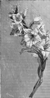 Picture 222 of 225 from Dutch painters of the nineteenth century. With biographical notices (1898), leaf 330