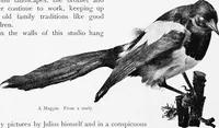 Picture 224 of 225 from Dutch painters of the nineteenth century. With biographical notices (1898), leaf 333