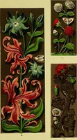 Picture 98 of 114 from The art of illuminating as practised in Europe from the earliest times (1860), leaf 274