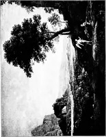 An illustration from Studies in pictures; an introduction to the famous galleries (1907)