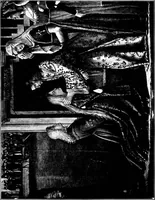 An illustration from Studies in pictures; an introduction to the famous galleries (1907)