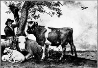 Picture 123 of 256 from Pictures and their painters; the history of painting (1907), leaf 257