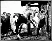 An illustration from Pictures and their painters; the history of painting (1907)