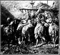 Picture 208 of 256 from Pictures and their painters; the history of painting (1907), leaf 382