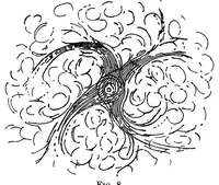 Picture 6 of 14 from The physiology of vision with special reference to colour blindness (1920), leaf 105