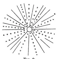 An illustration from The physiology of vision with special reference to colour blindness (1920)