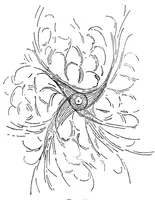 An illustration from The physiology of vision with special reference to colour blindness (1920)