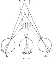 Picture 9 of 14 from The physiology of vision with special reference to colour blindness (1920), leaf 145