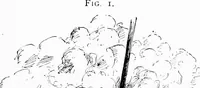 An illustration from Experimental science. Elementary, practical and experimental physics (1890)