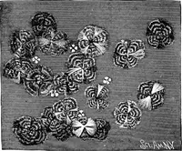 An illustration from Experimental science. Elementary, practical and experimental physics (1890)