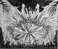An illustration from Experimental science. Elementary, practical and experimental physics (1890)