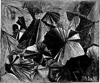 An illustration from Experimental science. Elementary, practical and experimental physics (1890)