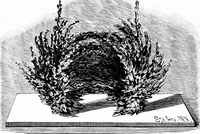 An illustration from Experimental science. Elementary, practical and experimental physics (1890)