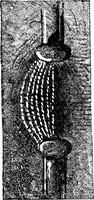 An illustration from Experimental science. Elementary, practical and experimental physics (1890)