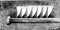 An illustration from Experimental science. Elementary, practical and experimental physics (1890)