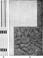 An illustration from Experimental science. Elementary, practical and experimental physics (1890)