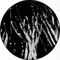 An illustration from Experimental science. Elementary, practical and experimental physics (1890)