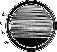 An illustration from Experimental science. Elementary, practical and experimental physics (1890)