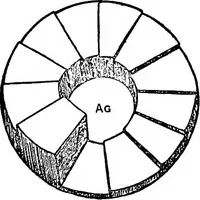 An illustration from X rays (1918)