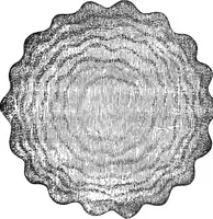 An illustration from Heat, a mode of motion (1905)