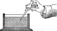 Picture 46 of 86 from Heat, a mode of motion (1905), leaf 240