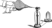 Picture 7 of 86 from Heat, a mode of motion (1905), leaf 41