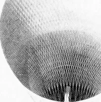 An illustration from Problems in physics. Derived from military situations and experience (1919)