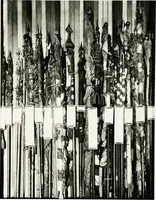 Picture 23 of 46 from The American flag. New York state educational department, sixth annual report--supplemental volume: (1910), leaf 50
