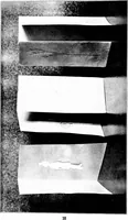 An illustration from Paper and cardboard construction. An analysis of the scope of paper and cardboard construction for primary grades of public schools ... Book problems, box problems, card problems, envelope problems (1916)