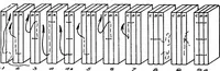 An illustration from Paper and cardboard construction. An analysis of the scope of paper and cardboard construction for primary grades of public schools ... Book problems, box problems, card problems, envelope problems (1916)
