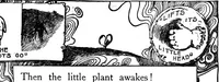 Picture 20 of 91 from Finger plays for nursery and kindergarten (1921), leaf 28