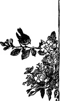 An illustration from Finger plays for nursery and kindergarten (1921)