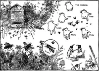 Picture 56 of 91 from Finger plays for nursery and kindergarten (1921), leaf 59