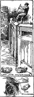 Picture 76 of 91 from Finger plays for nursery and kindergarten (1921), leaf 71