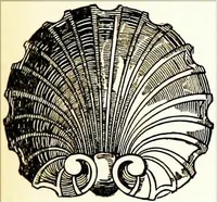 An illustration from The book of decorative furniture, its form, colour, & history (1911)