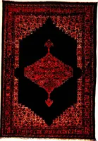 An illustration from The practical book of oriental rugs (1920)