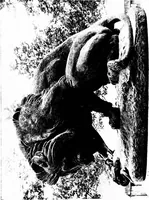 Picture 292 of 345 from A short history of art (1913), leaf 650