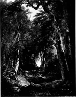 Picture 313 of 345 from A short history of art (1913), leaf 685
