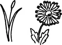 An illustration from The things which are seen; a revaluation of the visual arts (1921)
