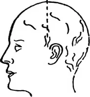 An illustration from The things which are seen; a revaluation of the visual arts (1921)