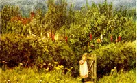 Picture 47 of 65 from The cottage homes of England (1909), leaf 392