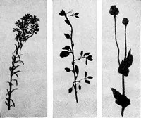 An illustration from Fine and industrial arts in elementary schools (1912)