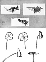 Picture 25 of 39 from Fine and industrial arts in elementary schools (1912), leaf 97