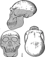 An illustration from Men of the old stone age, their environment, life and art (1918)