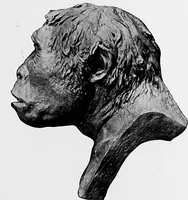 Picture 35 of 260 from Men of the old stone age, their environment, life and art (1918), leaf 120