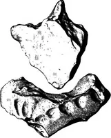 An illustration from Men of the old stone age, their environment, life and art (1918)