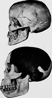 An illustration from Men of the old stone age, their environment, life and art (1918)