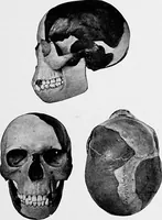 An illustration from Men of the old stone age, their environment, life and art (1918)